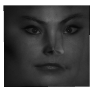 sophie_pos.PNG