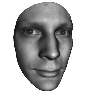 input surface