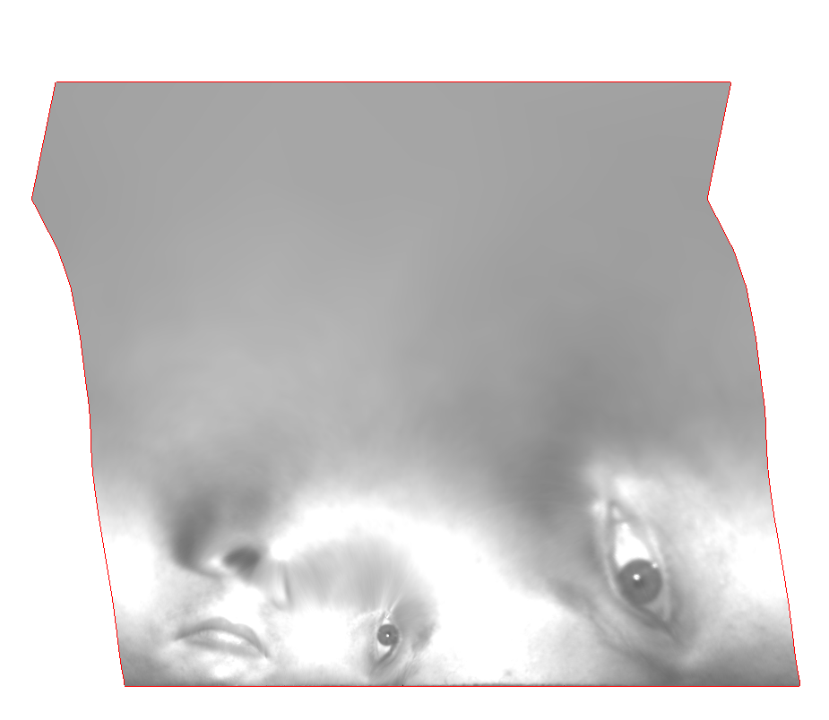 input surface