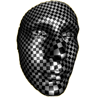 input surface