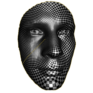 input surface