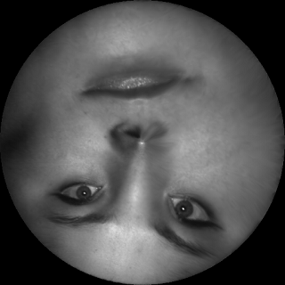 Sophie.png