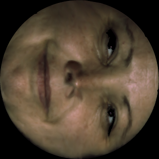 susan.png