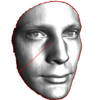 input surface