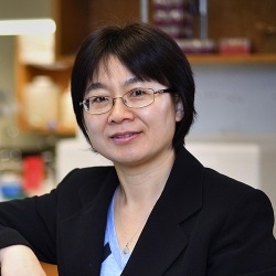 Xiaohua Tony Hu