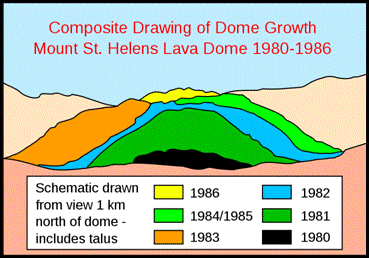 Helens1