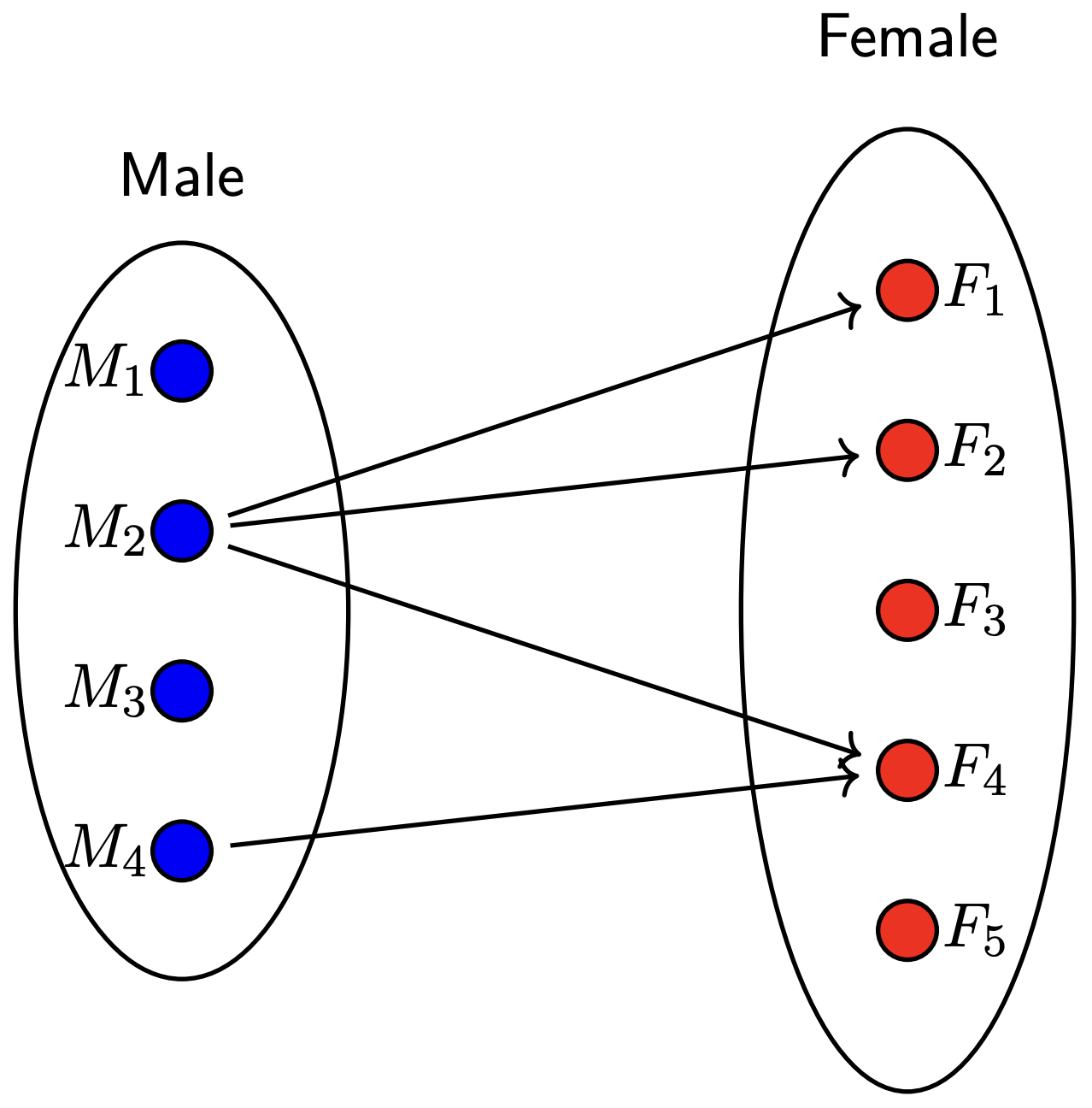 Arrow diagram of a marriage relation between two sets