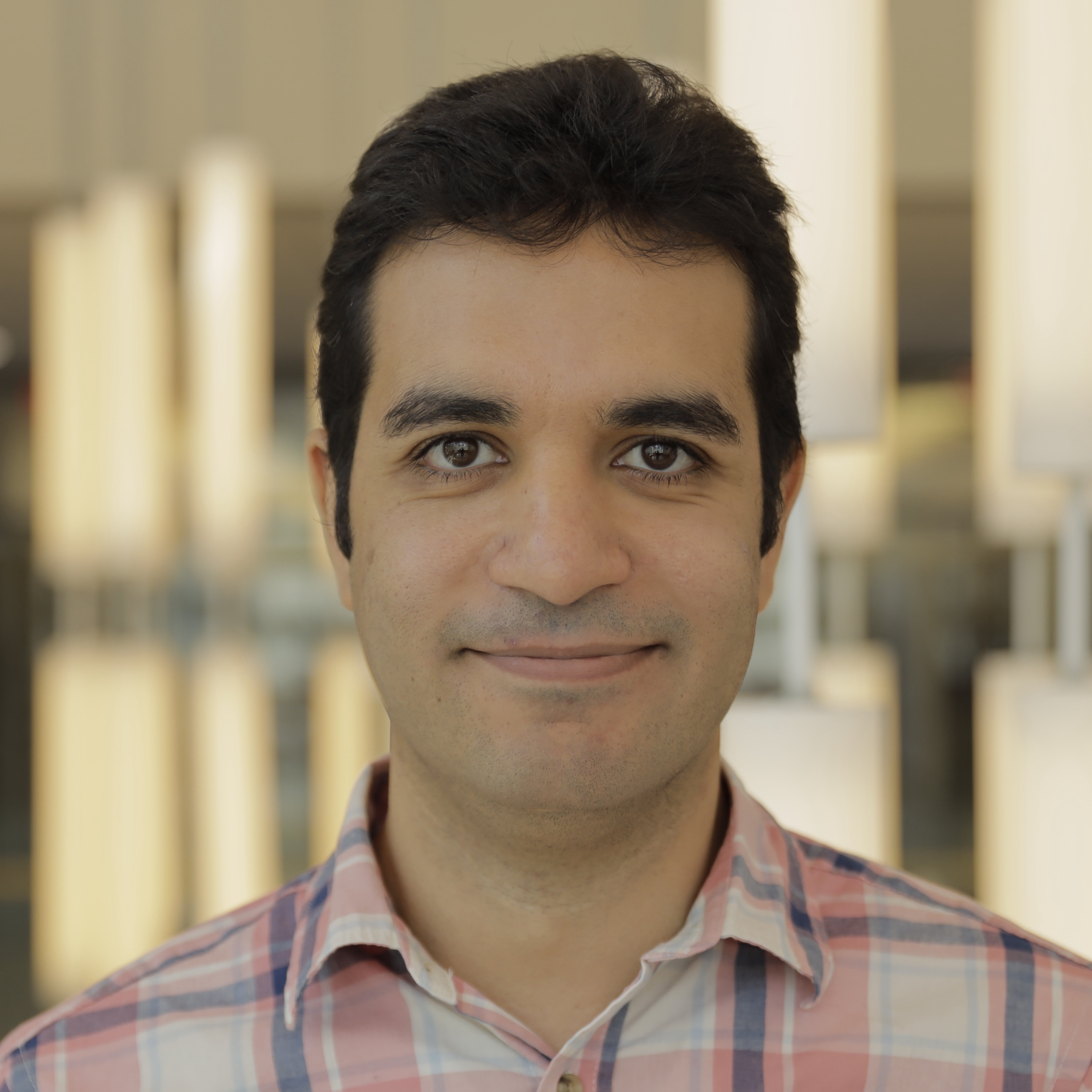 Mohammad Javad Amiri